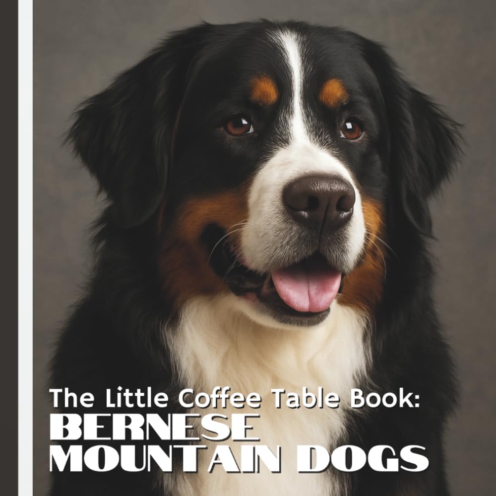 The Little Coffee Table Book: Bernese Mountain Dogs: 75 fascinating facts about this iconic Swiss breed, paired with stunning, full-page photography ... coats, and warm, loyal personalities.