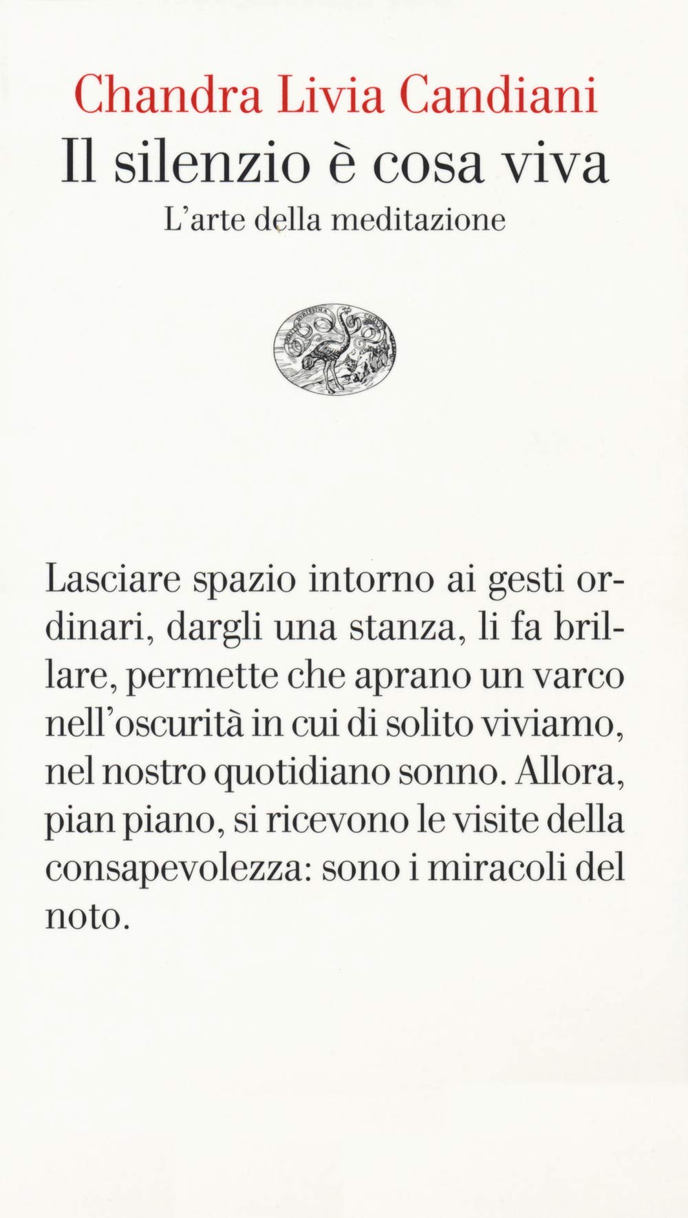 Il silenzio e cosa viva. L'arte della meditazione