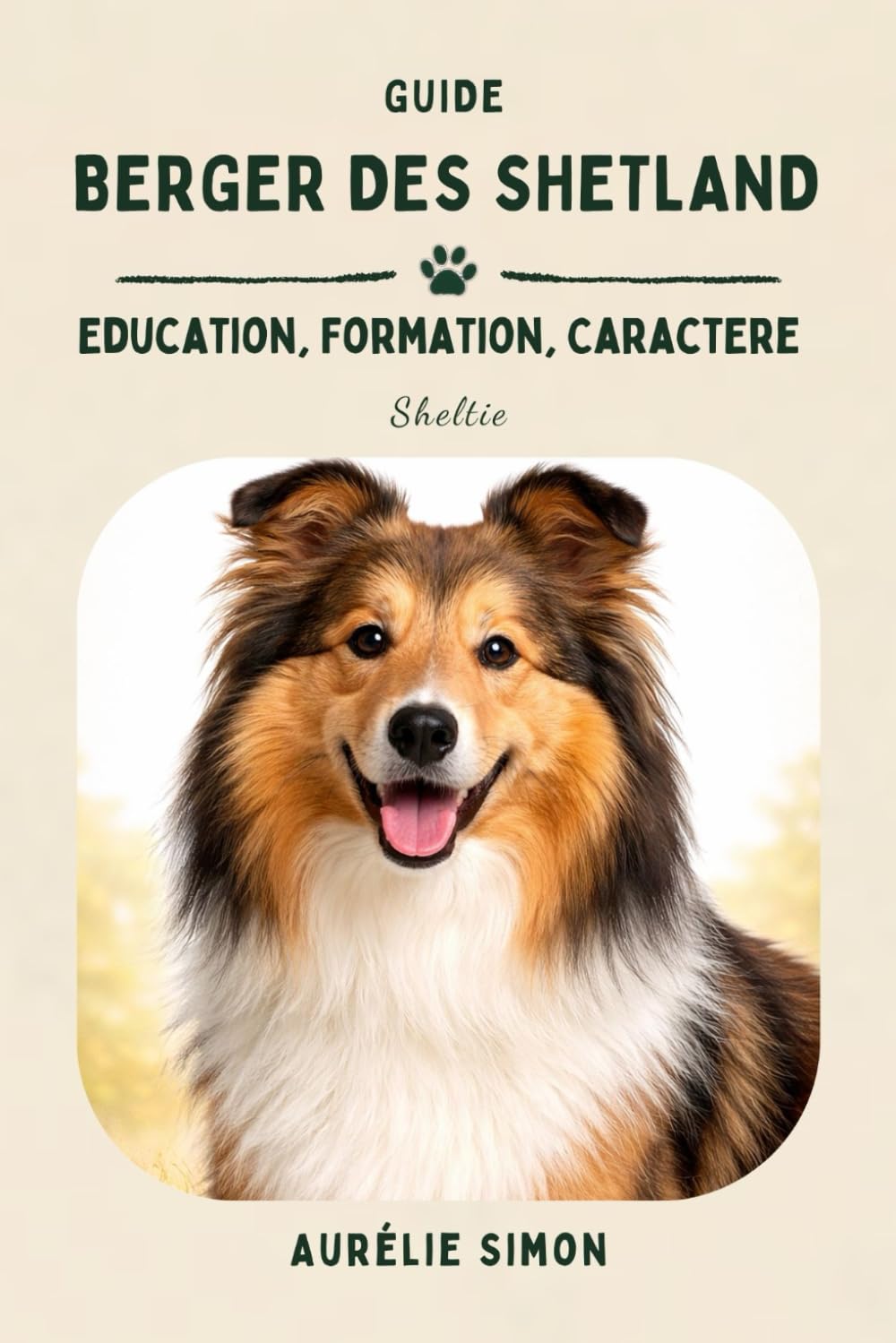 Berger des Shetlands: Education, Formation et Caractère du Sheltie
