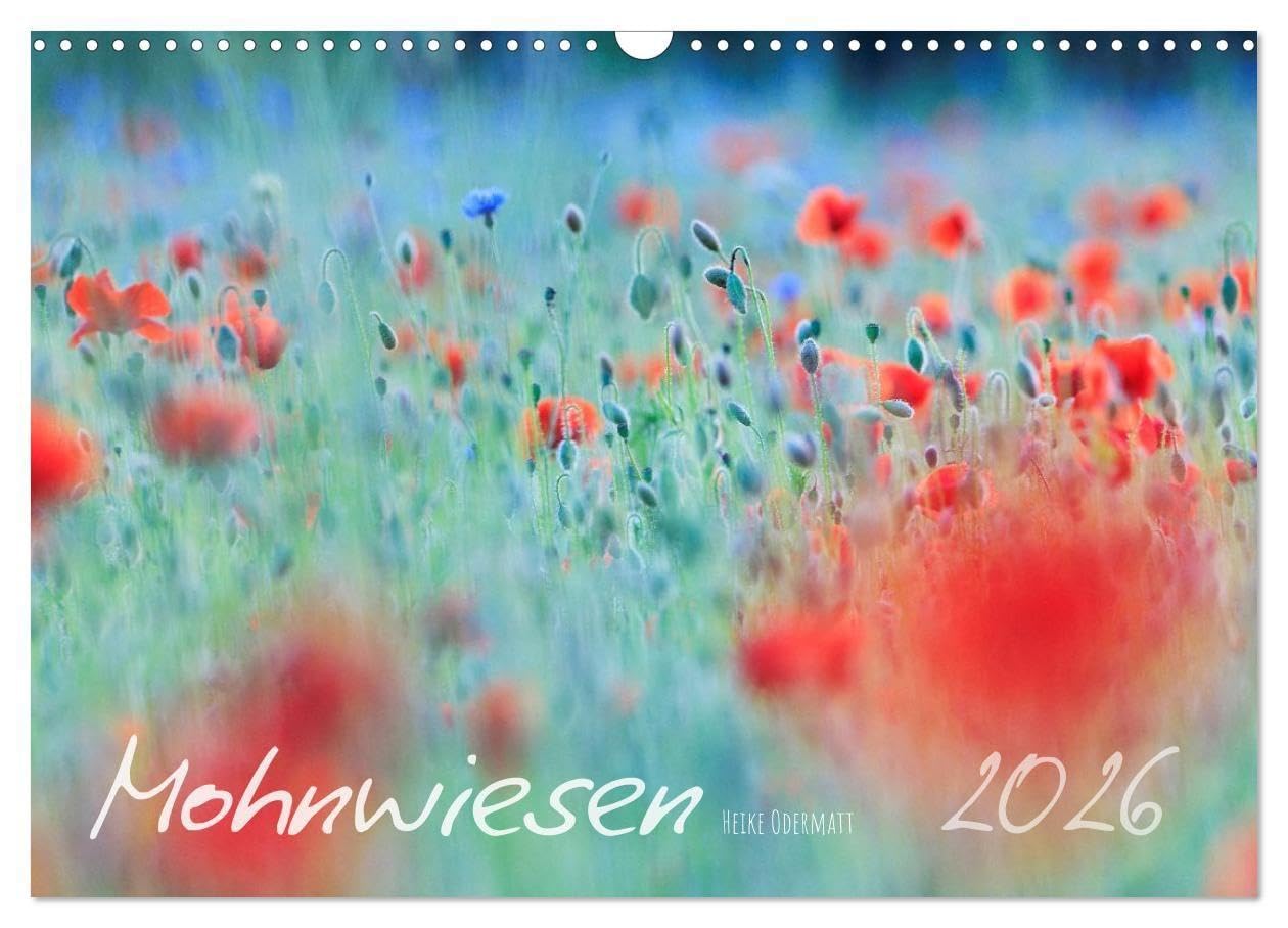 Mohnwiesen (Wandkalender 2026 DIN A3 quer), CALVENDO Monatskalender: Jeden Monat ein kleines Farbenspiel: Tauchen Sie ein in die zauberhafte Welt ... und spüren Sie die Leichtigkeit der Natur.