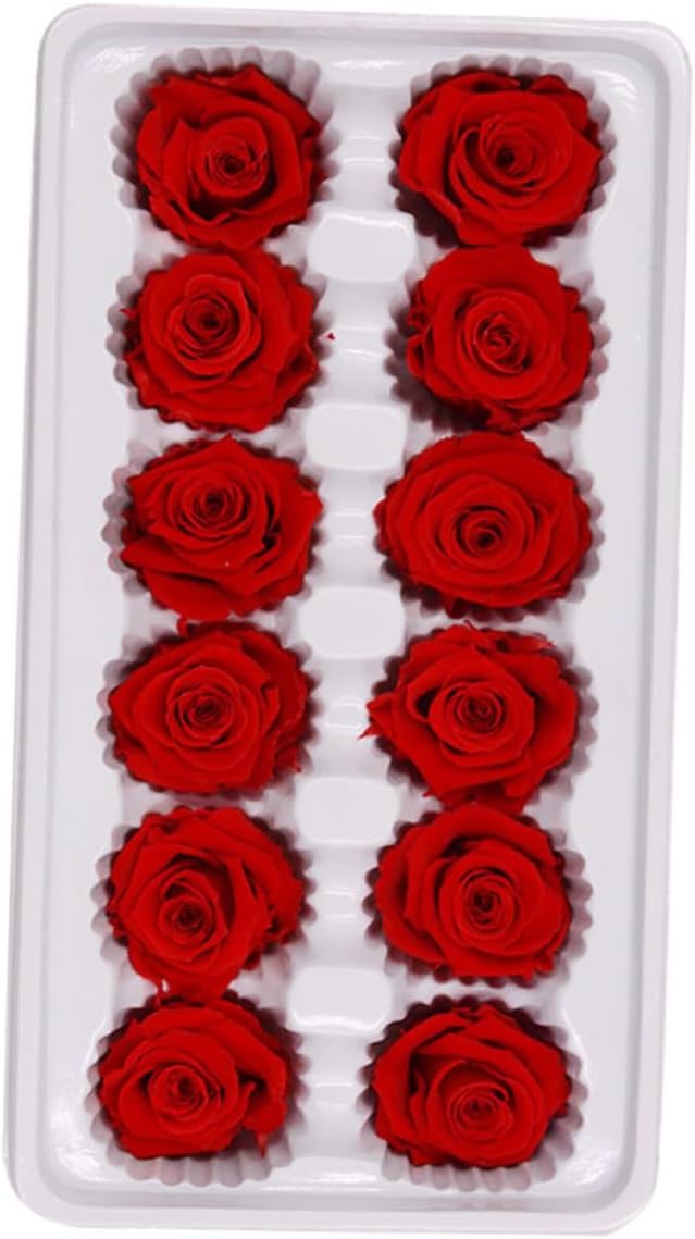 SOLUSTRE 12pcs Immortal Flower Preserved Fresh Flower Bouquet for Wedding Decoration Floral Arrangements Valentine's Day Red Roses Box