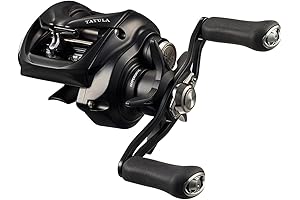 Daiwa Tatula 24TATULA TW 100: Redefining Baitcasting Performance