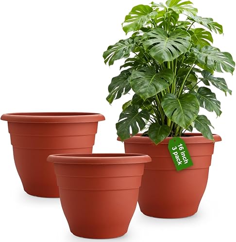 Vista 10 de Paquete de 5 macetas de 10 pulgadas para interiores y exteriores, macetas de plástico con agujeros de drenaje, macetas ligeras para el hogar, patio