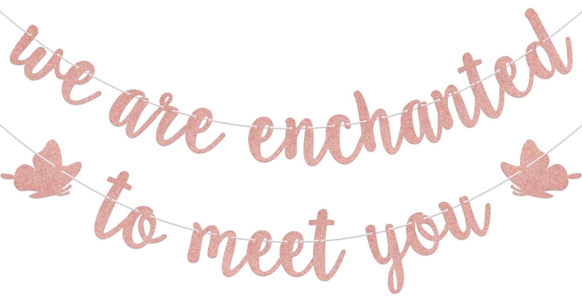 We are Enchanted to Meet You Banner - A Sweet Little Girl is on Her Way Baby Shower Gender Reveal Party Decorations Rose Gold