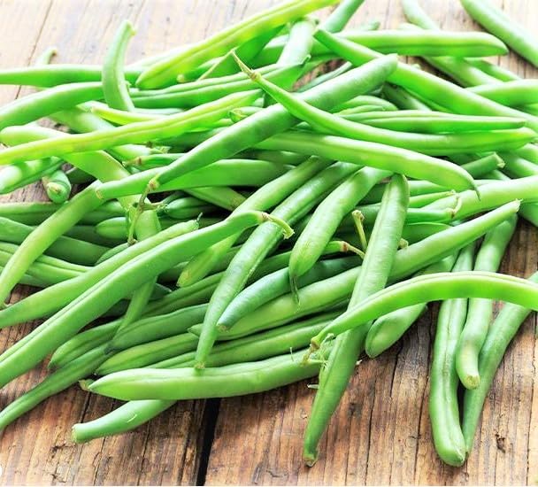 French Beans Hybrid Seeds | Green Bean Seeds for Home Garden, Kitchen Garden & Terrace Gardening | High Germination Non-GMO Fresh Lobia Planting Seeds-image-45