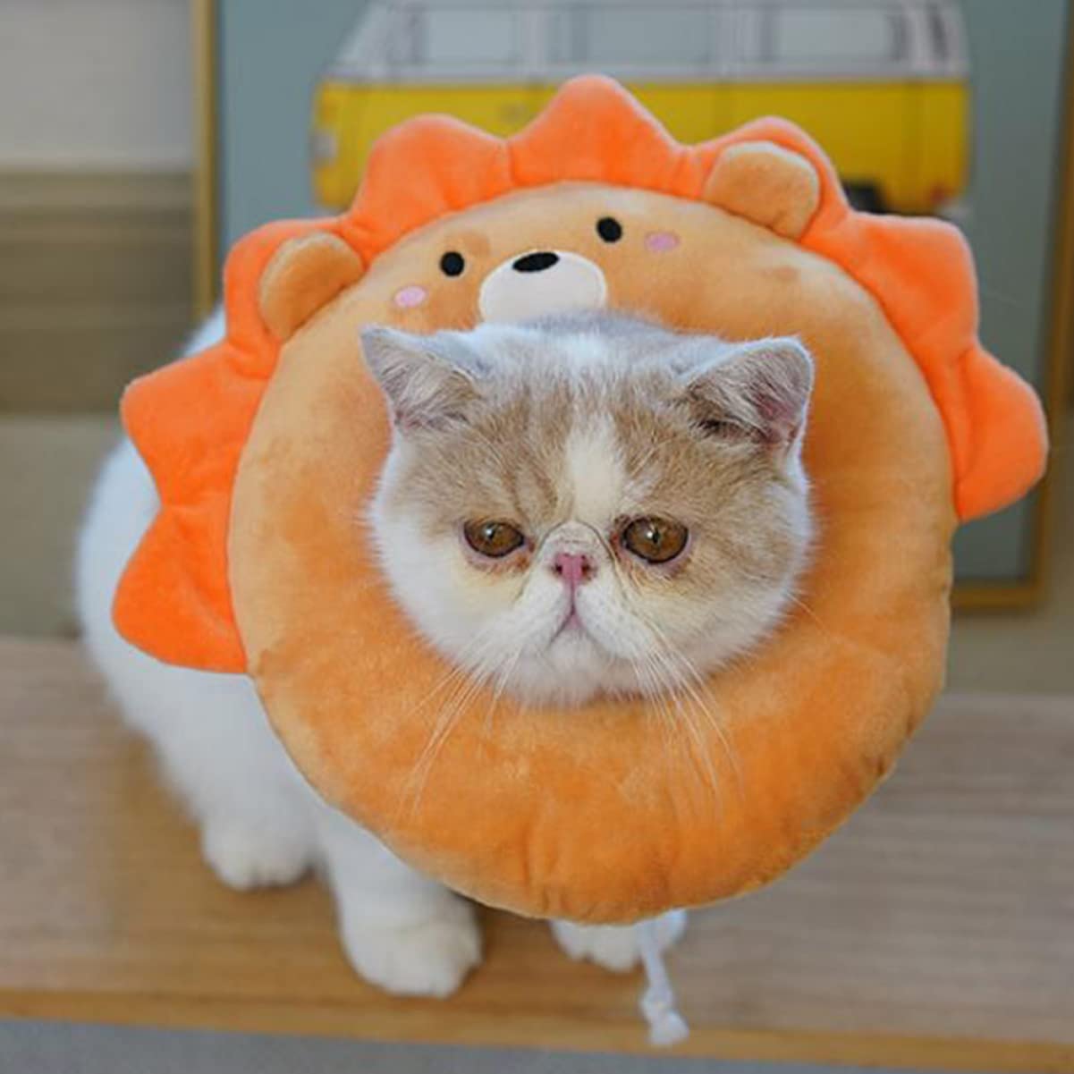 POPETPOP 2pezzi Collare Protettivo Per Elisabettiano Per Design e Traspirante La Guarigione