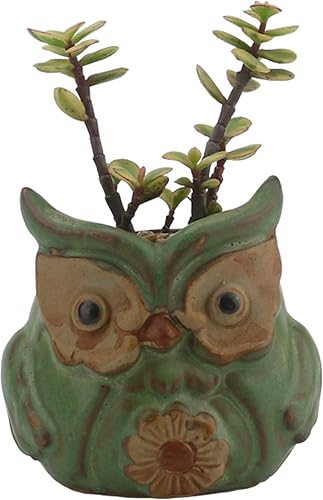 Miniatura 4 de Ogrmar Paquete de 6 cajas de ventana de búho lindo búho macetamacetas modernas de cerámica para suculentascontenedores de plantas de flores pequeñas