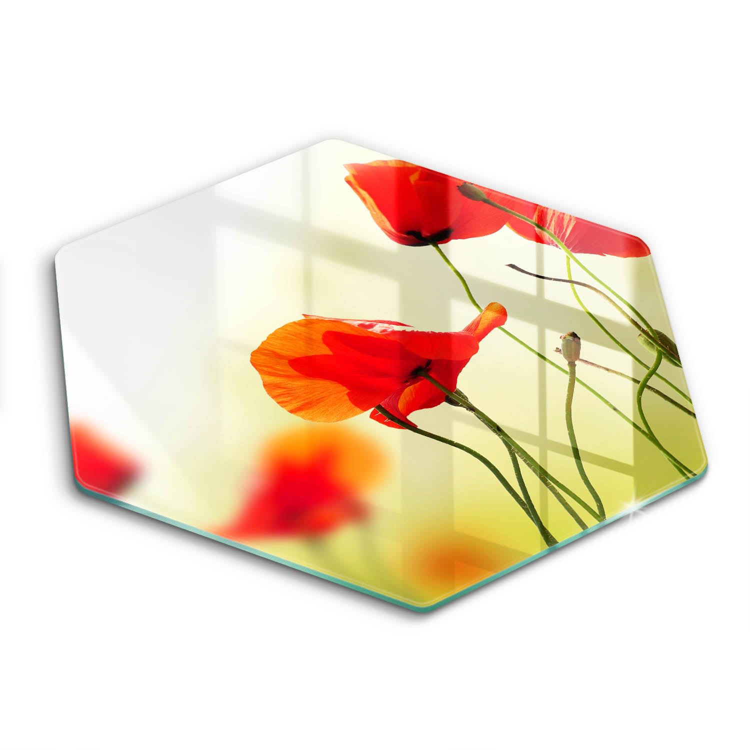 Plaque induction protection haute résistance 40cm de forme hexagonale