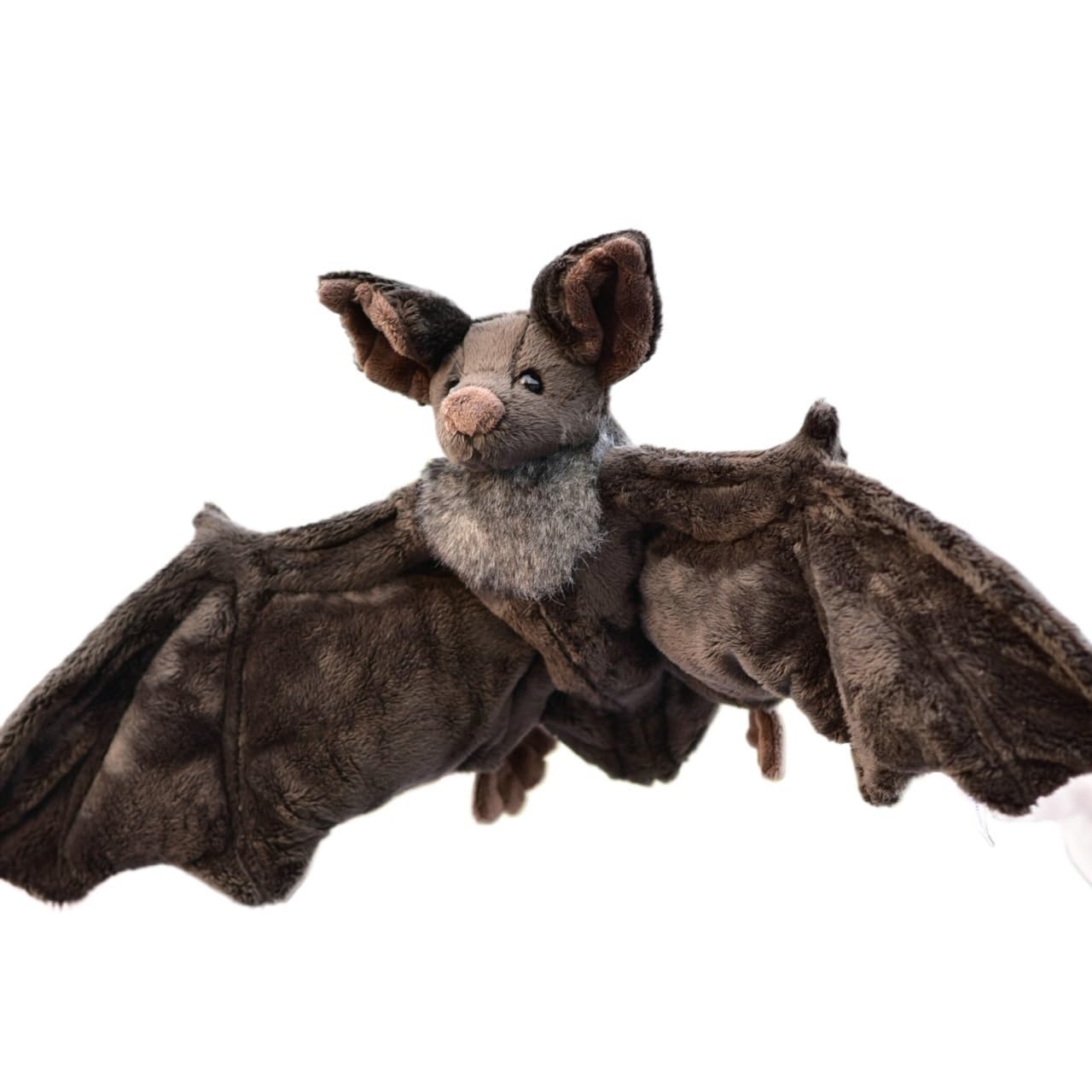 Grande apertura alare del pipistrello in peluche