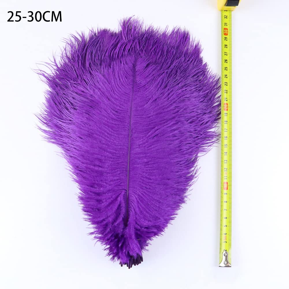 10PCS Ostrich Feathers, 10-12inch (25-30cm) Ostrich Feathers Plumes Bulk for DIY Crafts Wedding Party Centerpieces Home Table Decorations