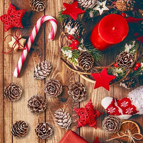 Whaline 100Pcs Christmas Natural Pinecones Mini Snow Pine Cones Rustic Dried Pine Cone in Bulk Christmas Party Ornament for DIY Crafts Home Xmas Tree Wreath Garland Holiday Fall Winter Decoration