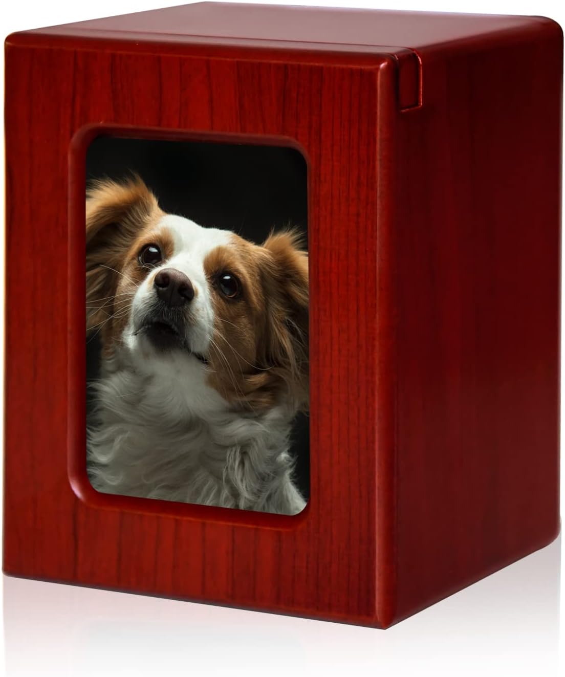 PCS PET CREMATORY SUPPLIES Urns for Dogs Ashes, Dog Photo Urn, Urns for Dog Ashes, Cremation Box Red-Large
