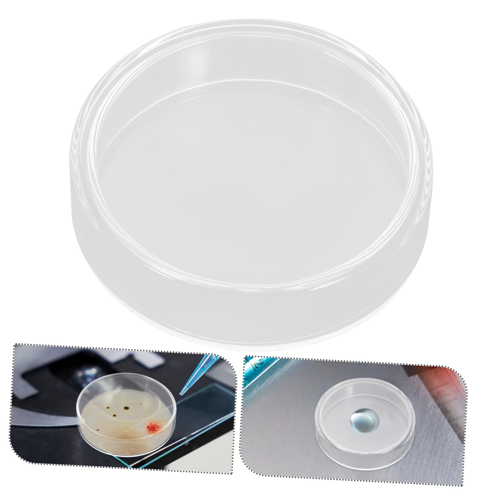 10 Stück 60 Mm Glas Petrischalen Für Zellkultur-wissenschaftsprojekte Mit Glatter Oberfläche Für Wachstum