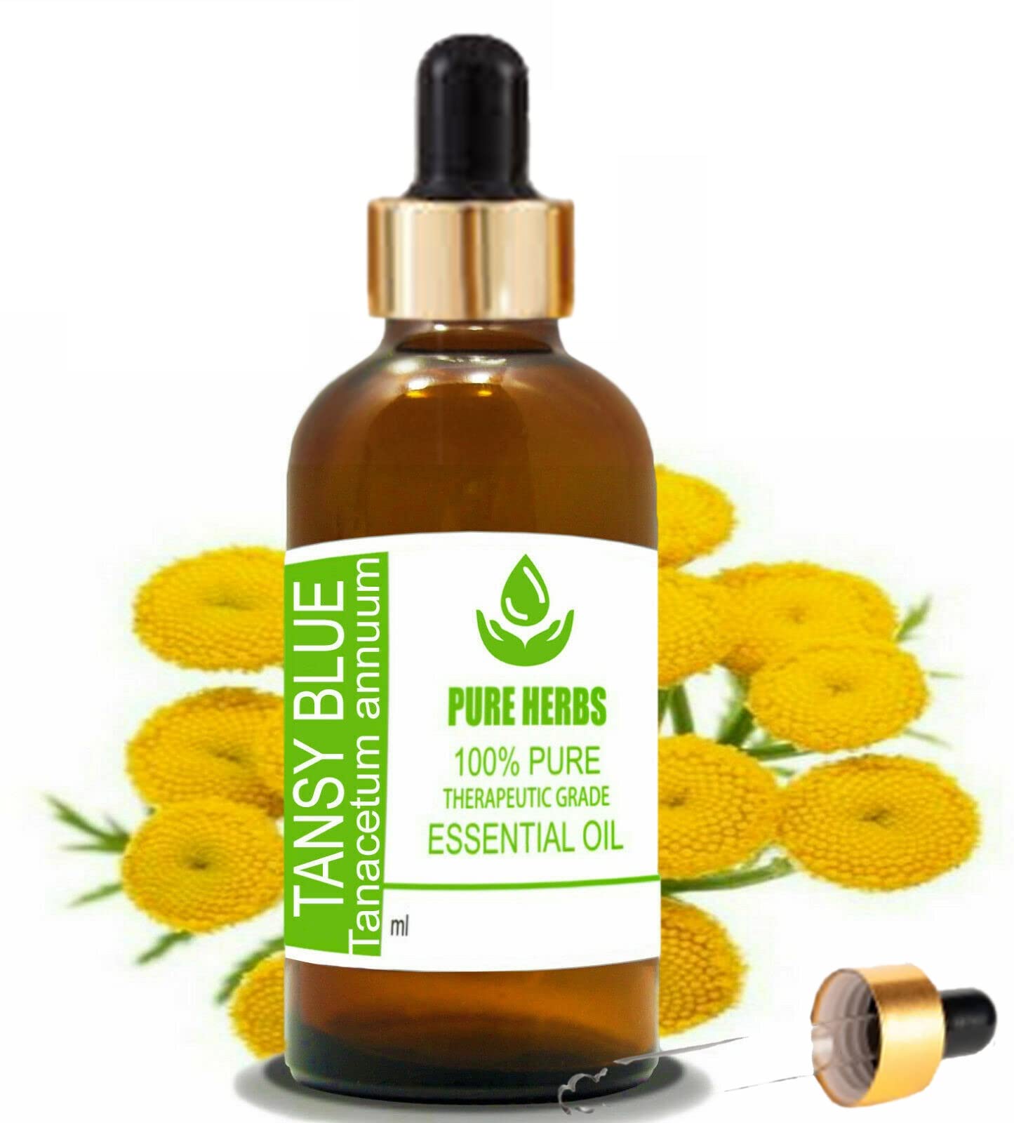 Pure Herbs Tansy Blue (Tanacetum Annuum) Pure & Natural Therapeutic Grade Essential Oil (50ml)