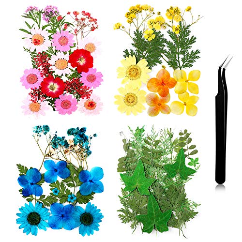 Pressed Flowers Resin Flowers For Resin Mold, Real Daisy Dried Flower Leaves Natural With Tweezers For Scrapbooking Diy Candle Accessories Jewelry Crafts Making (Colorful Style) #TOP14