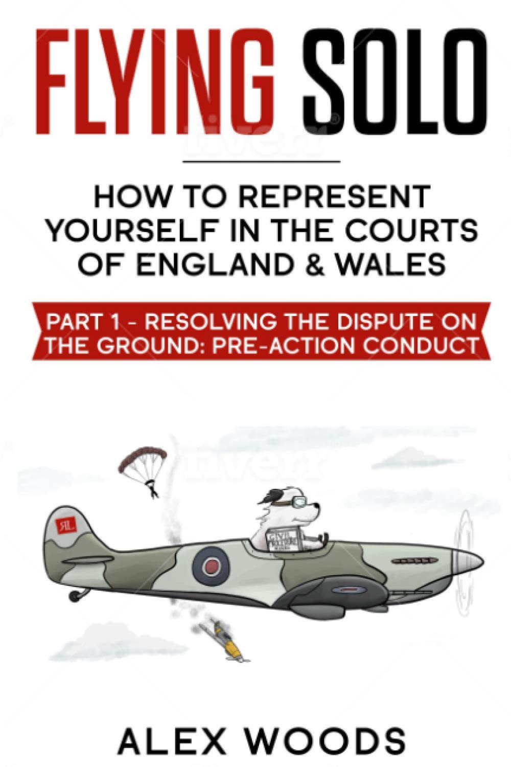 Flying Solo: Representing Yourself in the UK County Courts