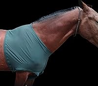 Vista 7 de Majestic Ally Protector y protección de hombro de caballo de elastano elástico en 4 direcciones (L, verde cazador)