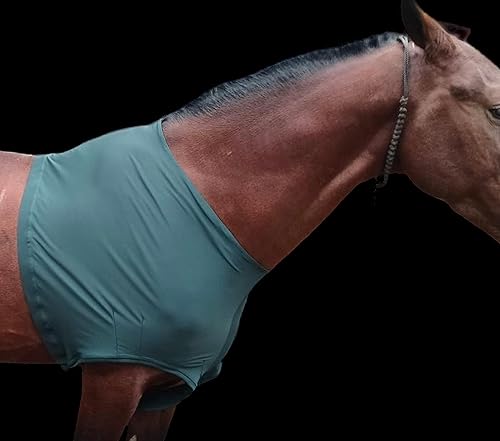 Miniatura 7 de Majestic Ally Protector y protección de hombro de caballo de elastano elástico en 4 direcciones (L, verde cazador)