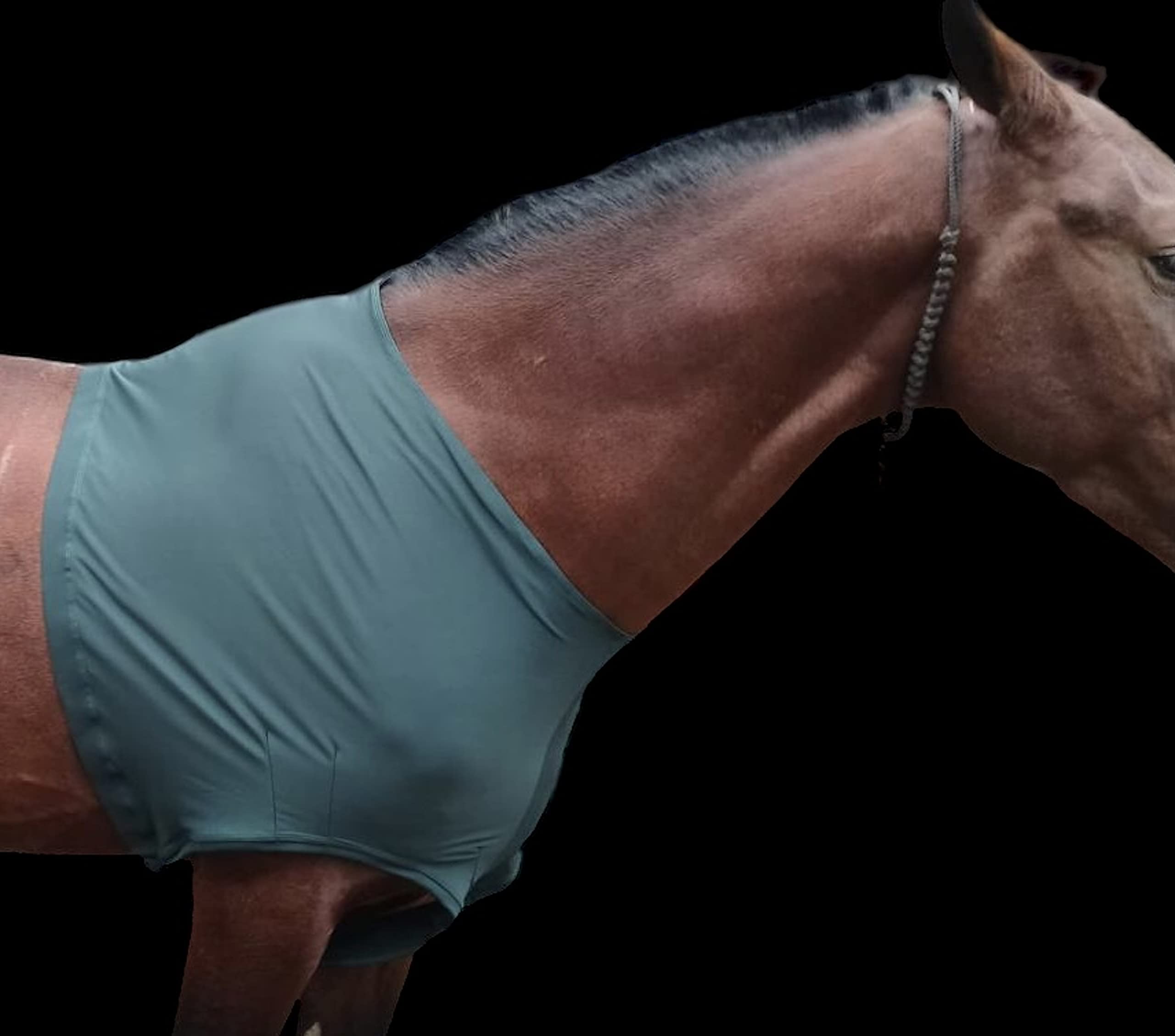 Protège-épaules Cheval Lycra Stretch Grand Vert Chasseur Majestic Ally