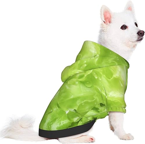 Miniatura 5 de Sudadera con capucha para perro con estampado de lechuga verde, ropa para mascotas, disfraces, sudadera de invierno para perros pequeños, gatos,