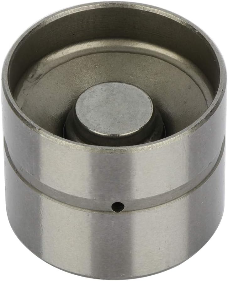 ECCPP Engine Hydraulic Lifter Fit for 2004 2005 2006 2007 2008 for Chevy Aveo 2007-2008 for Chevy Aveo5 1999 2000 2001 2002 for Daewoo Lanos Set of 16