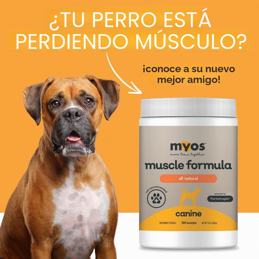 MYOS CANINE MUSCLE FORMULA - Suplemento de construcción muscular totalmente natural: ayuda a reducir la pérdida muscular en perros debido al envejecimiento normal y mejora la recuperación de lesiones