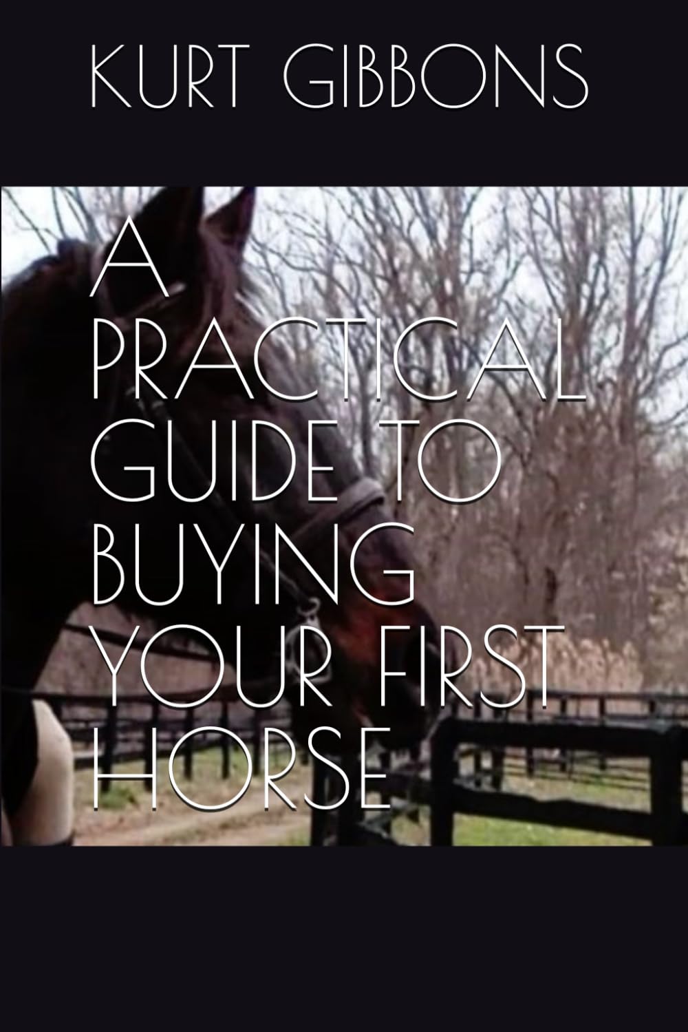 A PRACTICAL GUIDE TO BUYING YOUR FIRST HORSE