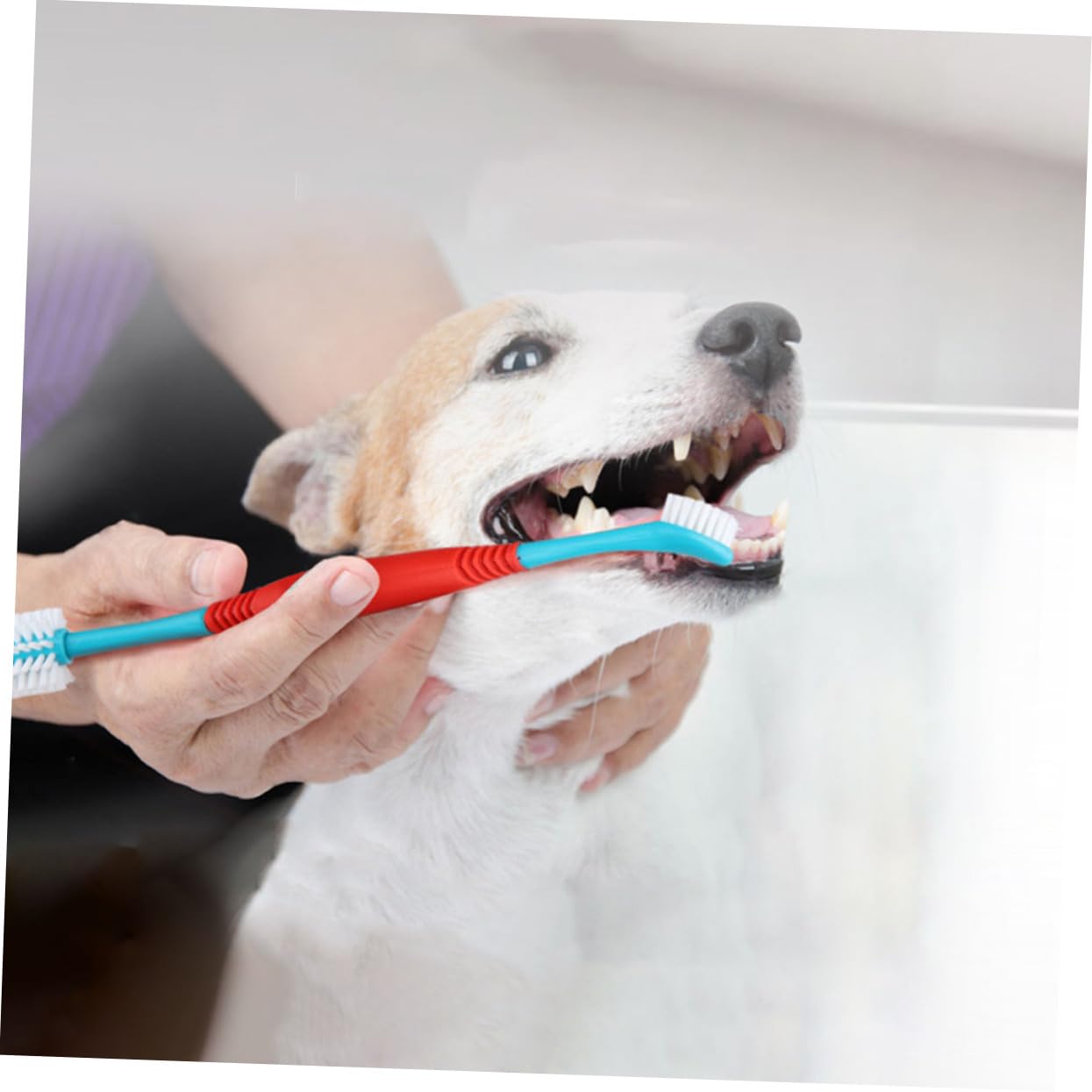 Sosoport 3 Sätze Haustier Zahnbürste Katzentücher Fussel Kauzahnbürste Für Hunde Zahnreinigungstücher Für Hunde Dual Spielzeugreiniger Welpenzahnreiniger Zahnpasta Bausatz Tpe 4 Stück * 3