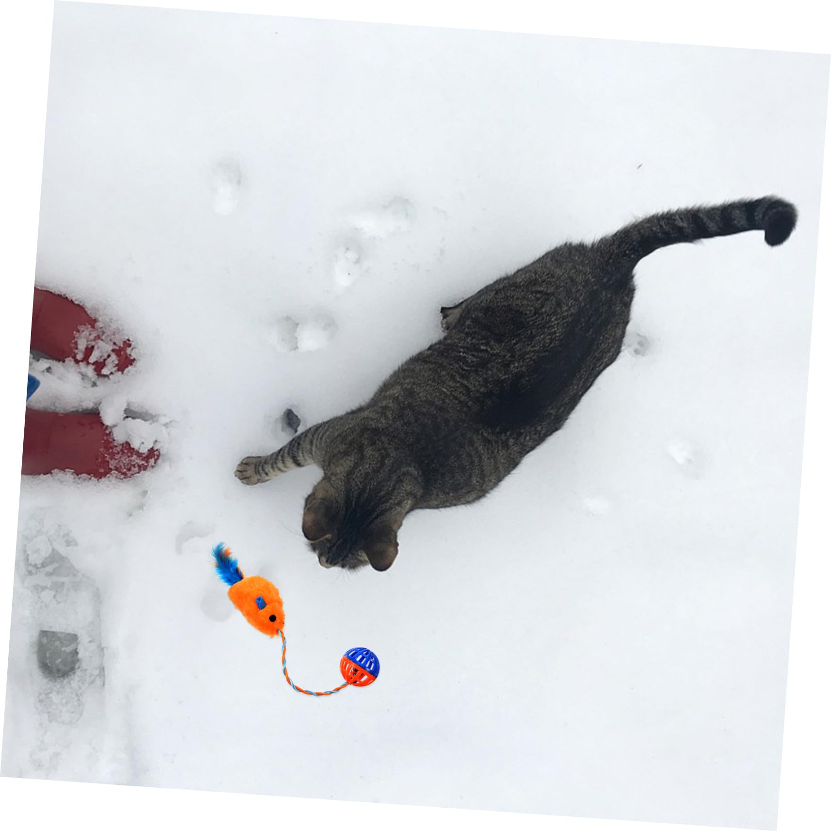 Didiseaon Souris Chat Interactif avec Clochette Plastique et Peluche Orange Intérieur pour Chat Résistant et Stimulant Instinct de Chasse