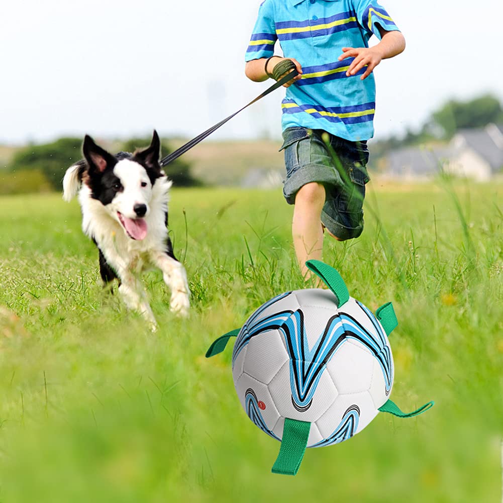 LYINBO Gummibälle Für Hunde – Leuchtende Spielbälle, Ideal Fürs Toben