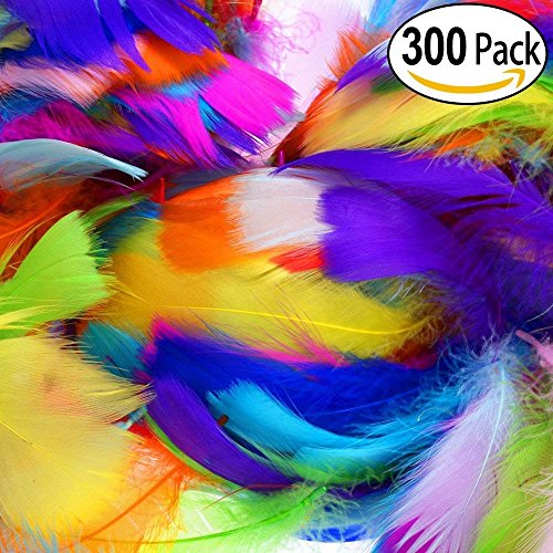 LANTECK Piume della decorazione di 300pcs 10color