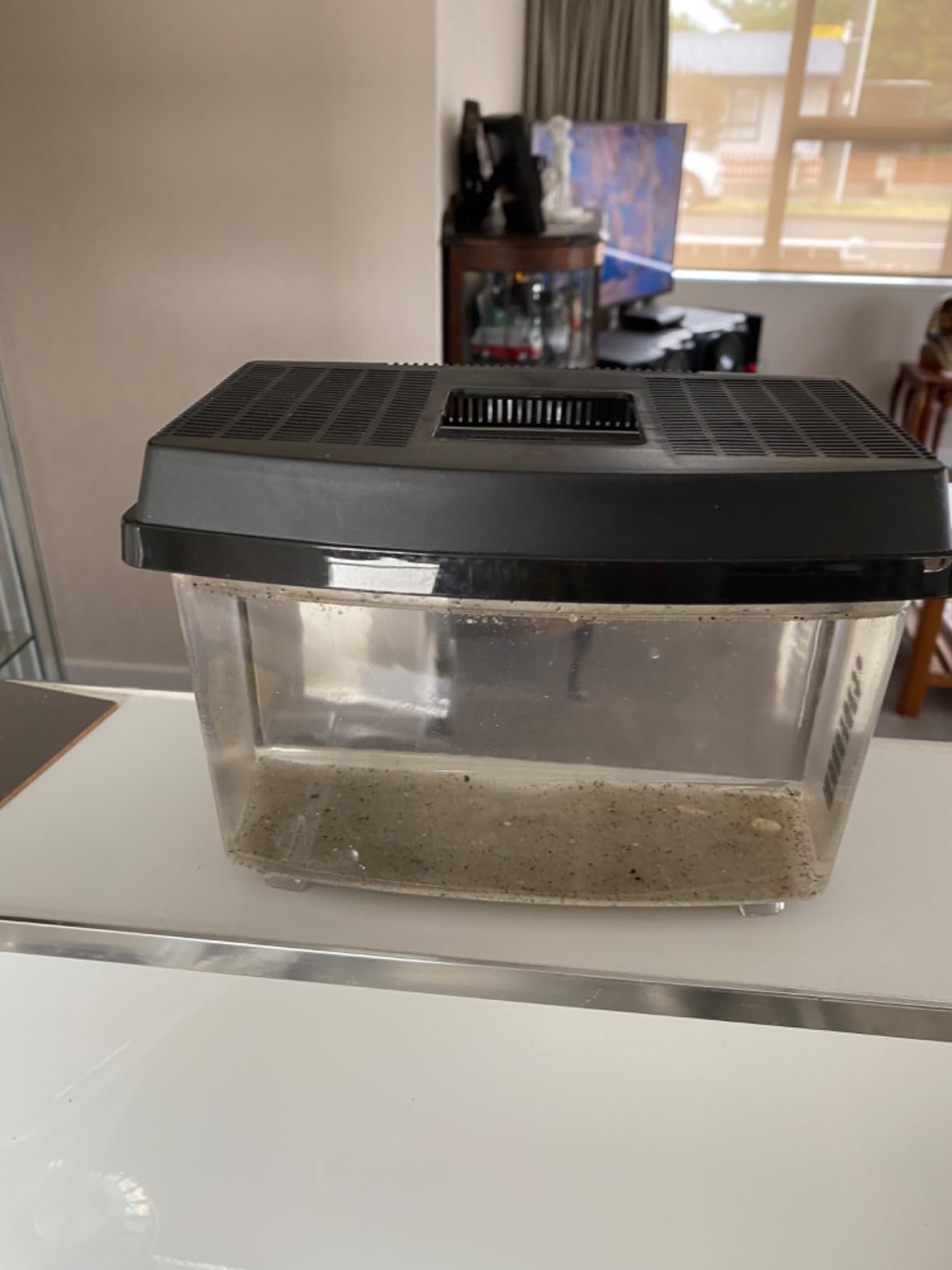 TRIASSIC TRIOPS Deluxe Triops Kit, Contains Eggs, Aquarium, Food