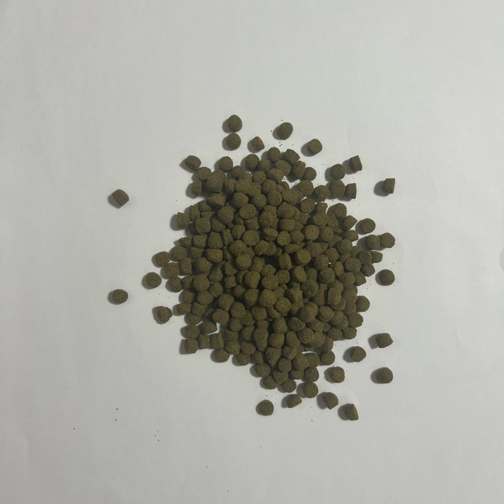 Amazon.co.jp: 高栄養飼料 おとひめEP5 500g 日清丸紅飼料 熱帯魚