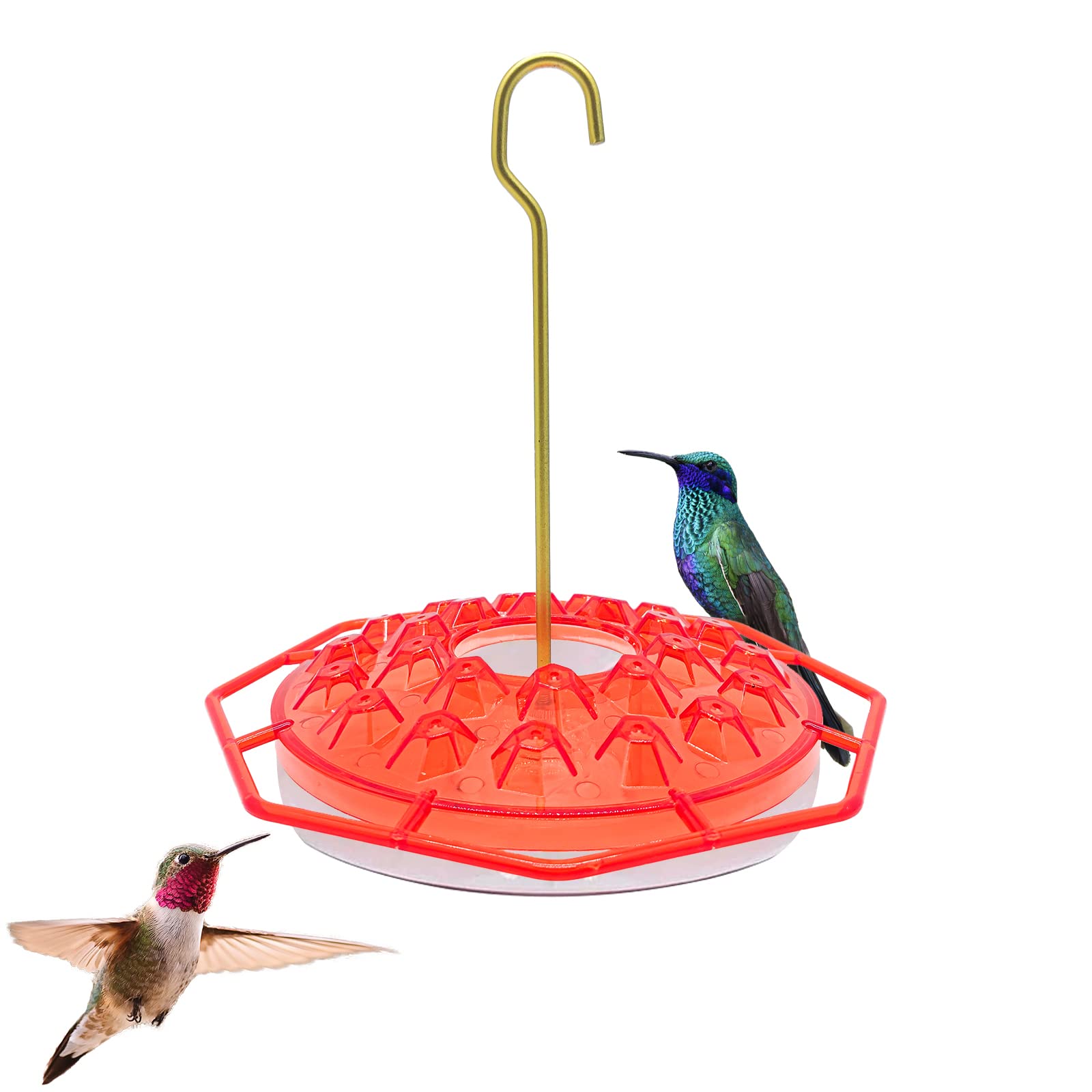 Buy Hummingbird Feeders for Outdoors Hanging, Leak Proof Hummingbird