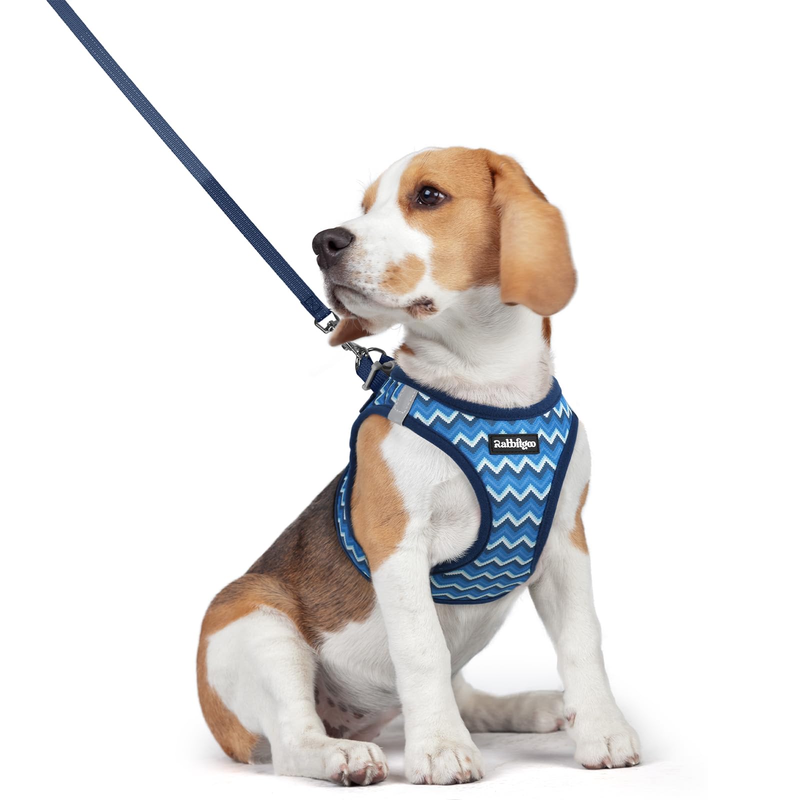 rabbitgoo Dog Harness Small Dog and Leash Set, Step-in Soft Mesh Puppy Harness with Reflective Strips, Lightweight Breathable Pet Vest for Walking Training, Blue Zigzag, L
