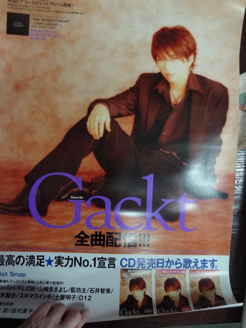 Gａｃｋｔ　ガクト　　入手困難非売品ポスター３０本まとめて Gackt ガクト 入手困難非売品ポスター30本まとめて