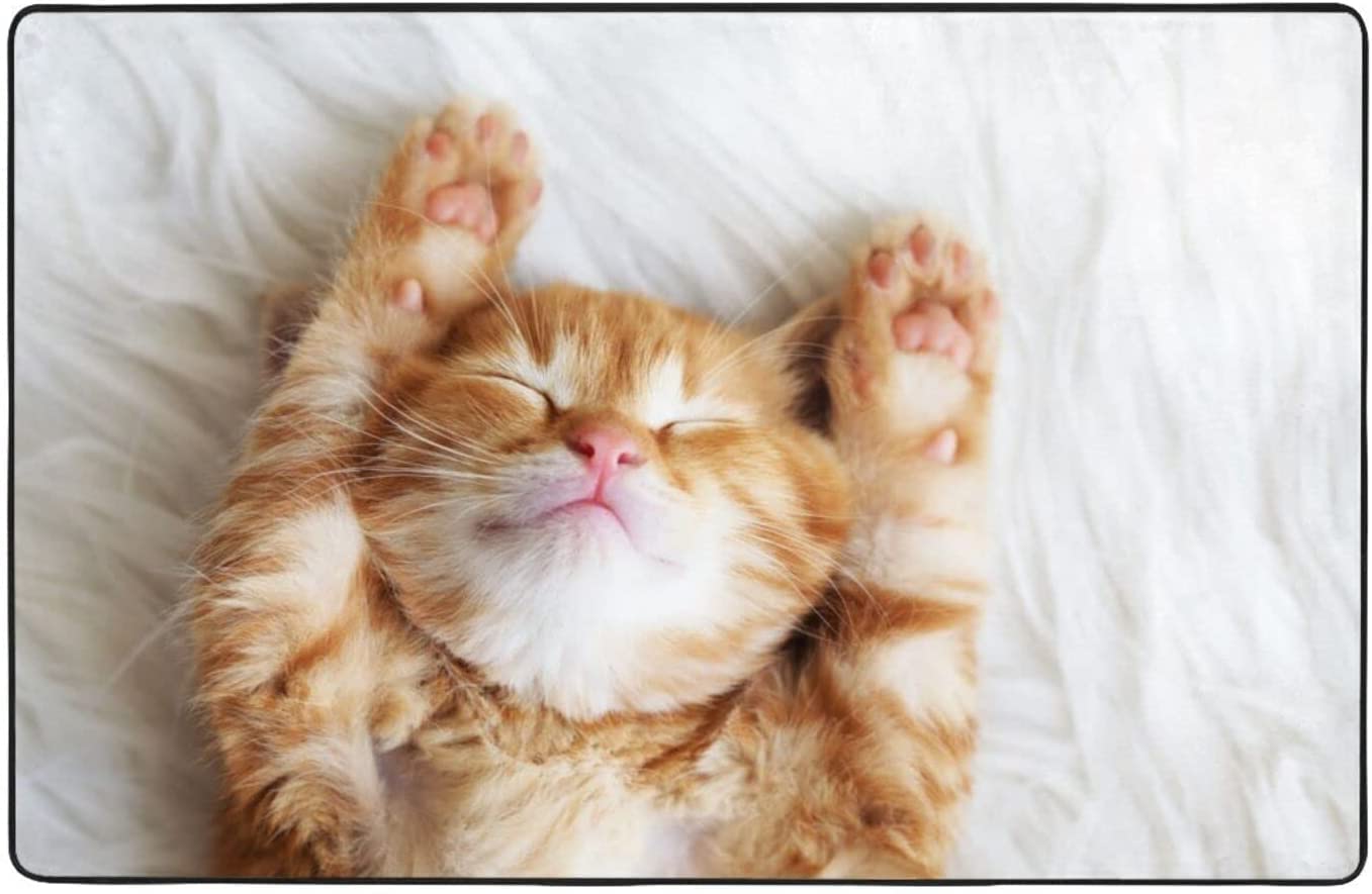 Amazon | カーペット ラグ 猫柄 かわいい おもしろ 猫爪 長方形