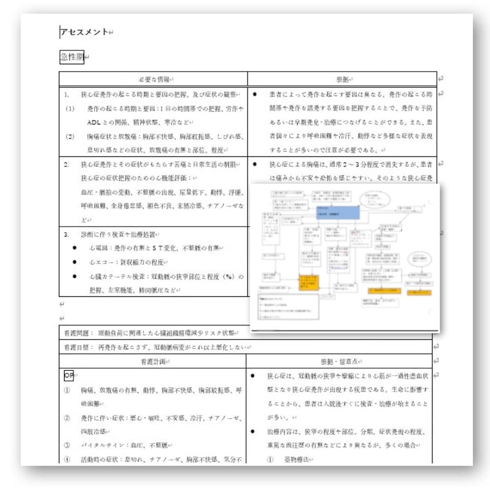 看護学生 看護実習 アセスメント 手順書 関連図 計画 レポート パンフレット 看護学生 看護過程 看護実習 手順書 関連図 計画 アセスメント