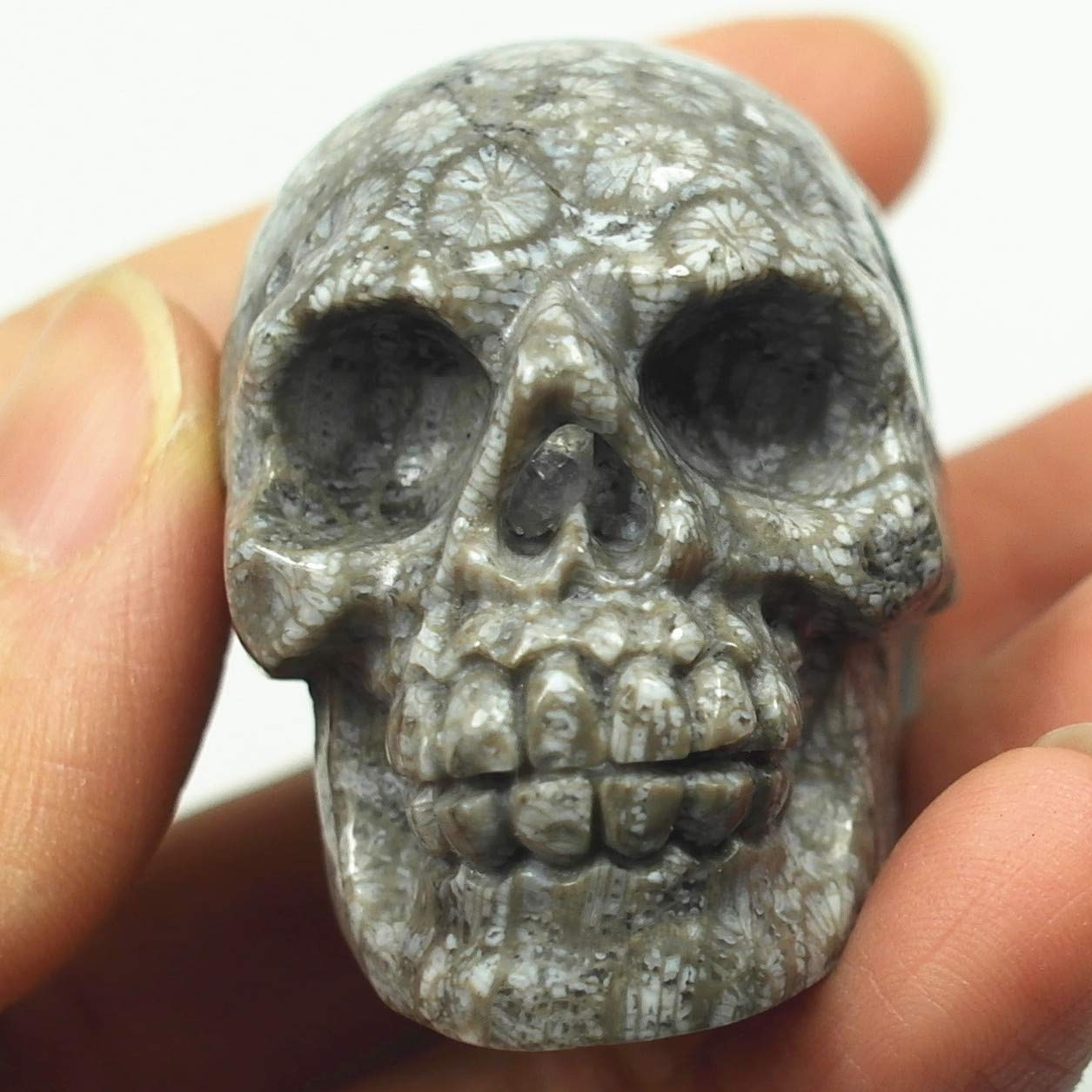 2" Coral Fossil Crystal Skull Healing Stone Hand Carved Gemstone Reiki Statue Art Sculpture Decor Collection