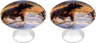 2 Pack Dog Catching Pheasant Cabinet Knobs Round Drawer Pulls | Stainless Steel Kitchen Cabinet Hardware, Single Hole with Screws, Durable Drawer Knobs for Dresser Cupboard Wardrobe Closet