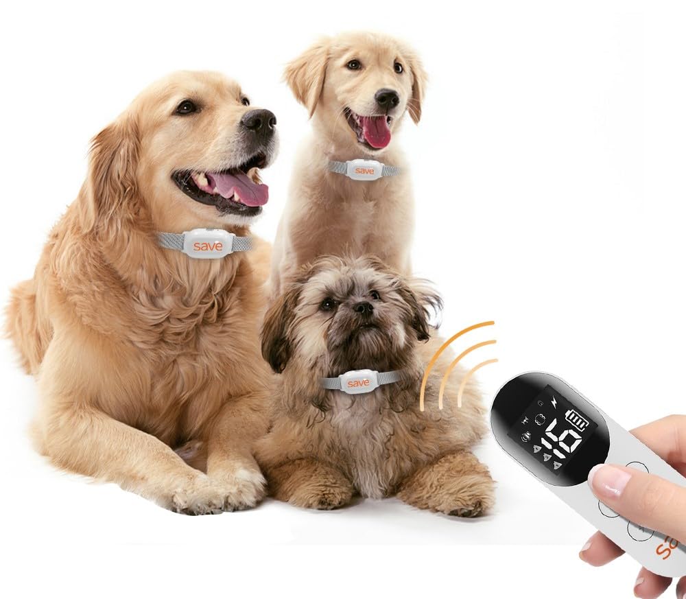 Collare di salvataggio elettrico per cani - Allenamento con telecomando, portata 800 m, lampada a LED