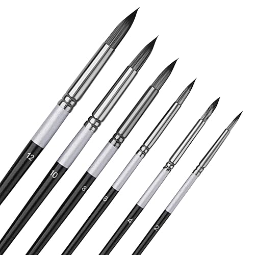 6 Pcs Watercolour Brushes Set 