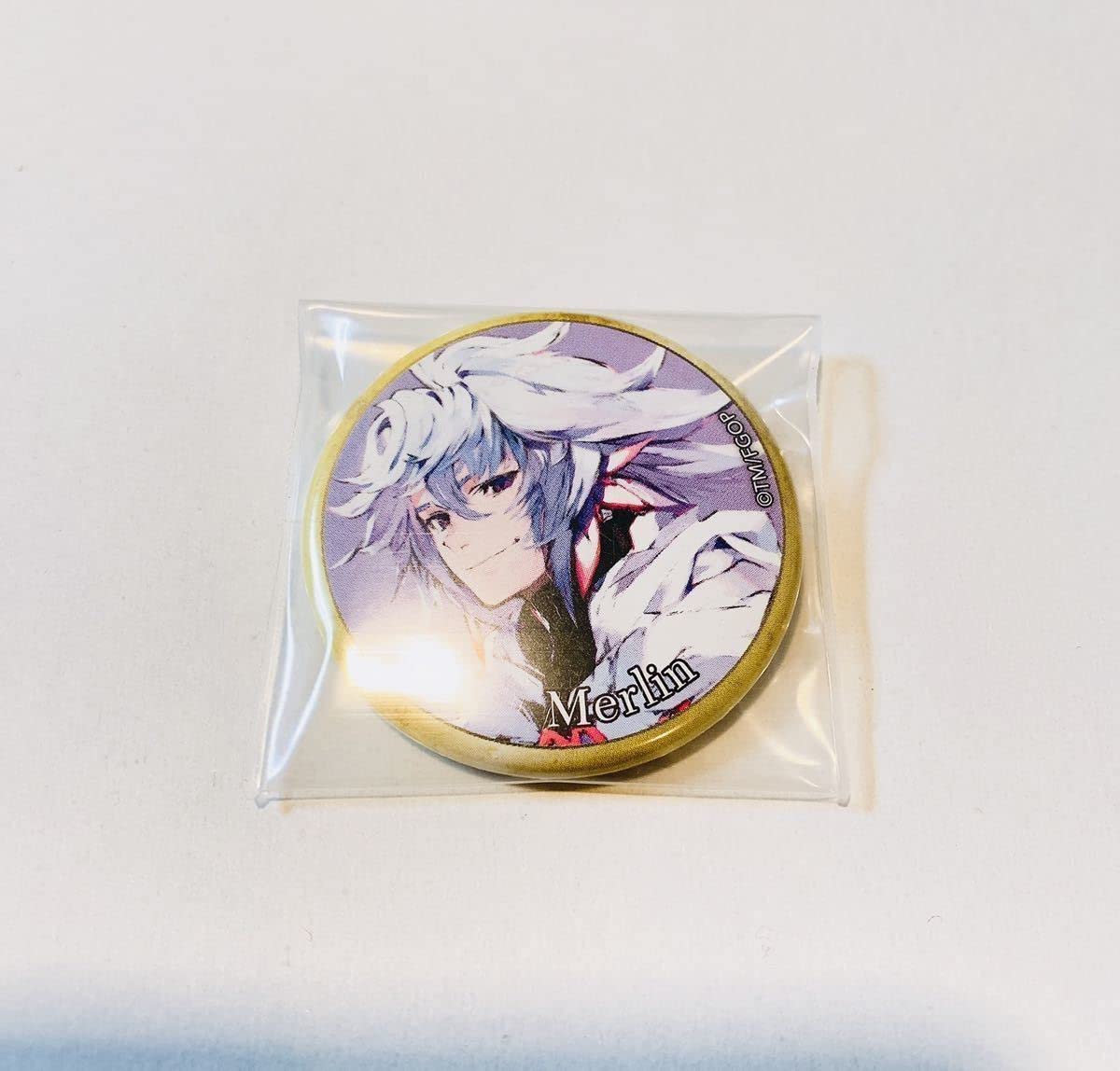 FGO Fate/Grand Order 霊基 缶バッジ Fate/Grand Order Fes. 2024 9th Anniversary