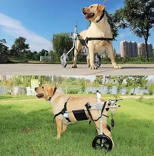 VENEZIANA Cadeira de rodas para animais de estimação para pernas traseiras, cadeira de rodas de cach