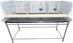 Gaiola Codorna Codornão gaia com base