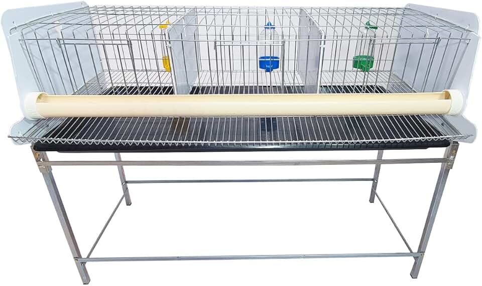 Gaiola Codorna Codornão gaia com base