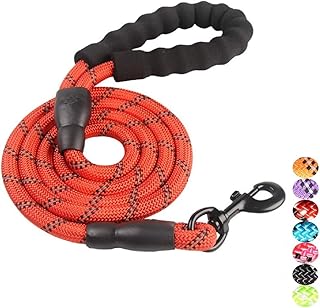 PetHub 5ft Strong Dog Leash with Comfortable Extra Padded Handle Highly Reflective Thread for Small Medium and Large Dogs. (RED)