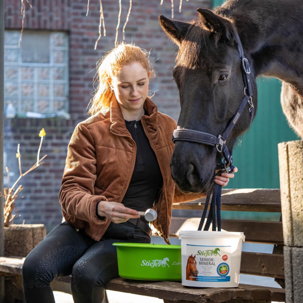 Stiefel Senior-Mineral für Pferde, hochwertige Versorgung mit Mineralstoffen, Spurenelementen & Vitaminen, für alte Pferde, Eimer, 3kg