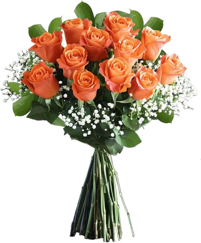 GlobalRose Fresh Dozen Orange Roses & Fillers - Fresh Flowers Bouquet for Valentine's Day