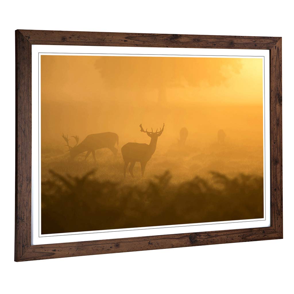 Big Box Art Framed Print of Stag Sunrise Landscape Design | Wall Art Picture | Home Decor for Kitchen, Living, Dining Room, Lounge, Bedroom, Hallway, Office, Walnut, A2 / 24.5x18 Inch / 62x45cm